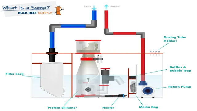 How to Pump Water from Aquarium to Sump: A Comprehensive Guide