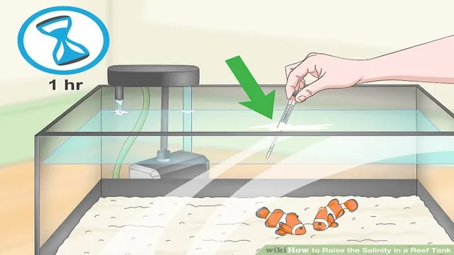 How to Adjust Salinity in Aquariums: A Guide for Beginners