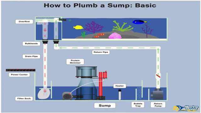 How to Build an Aquarium Sump Filter: A Comprehensive Guide for Beginners