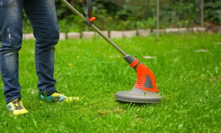 Can a Weed Eater Work Without a Filter? Importance and Tips to Keep Your Garden in Perfect Shape.