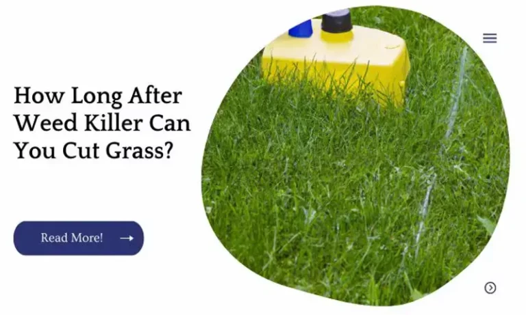 Can You Cut Grass with a Weed Eater – A Comprehensive Guide