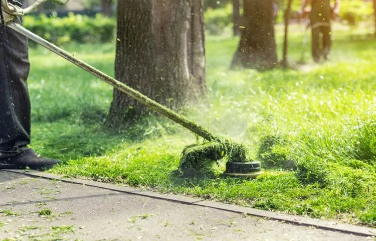 can you use seafoam in a weed eater