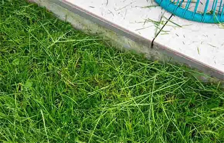 Can You Use a Weed Eater on Wet Grass Without Damaging Your Lawn? Find Out Now.