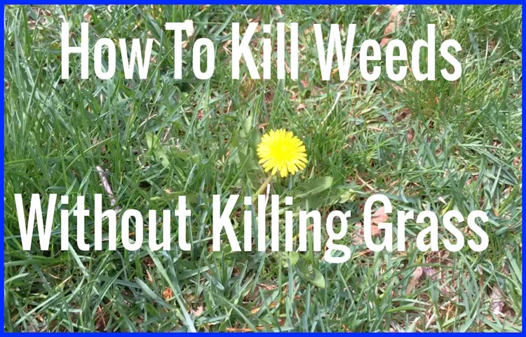 Does Weed Eater Kill My Grass? Tips for Using Your Trimmer to Keep Your Lawn Looking Pristine