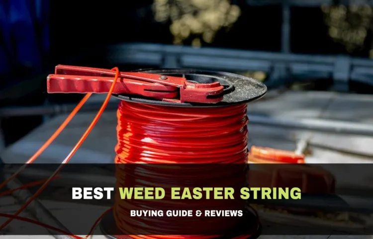 Don’t Have Weed Eater String? Try These Effective Alternatives Today!