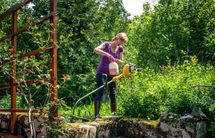 How to Add Oil to Weed Eater: A Step-by-Step Guide for Easy Maintenance