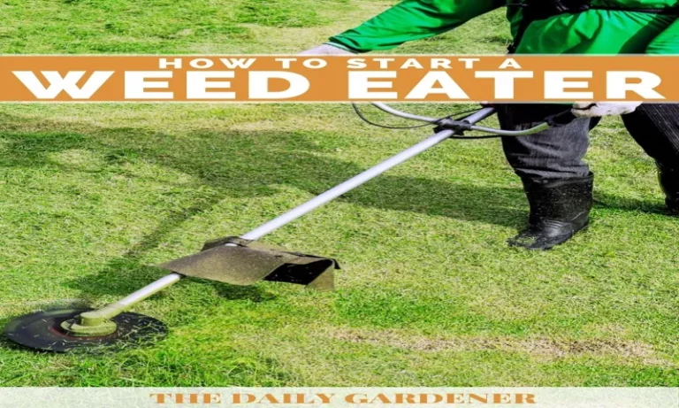 How Do I Start a Weed Eater? Essential Steps and Tips for Beginners