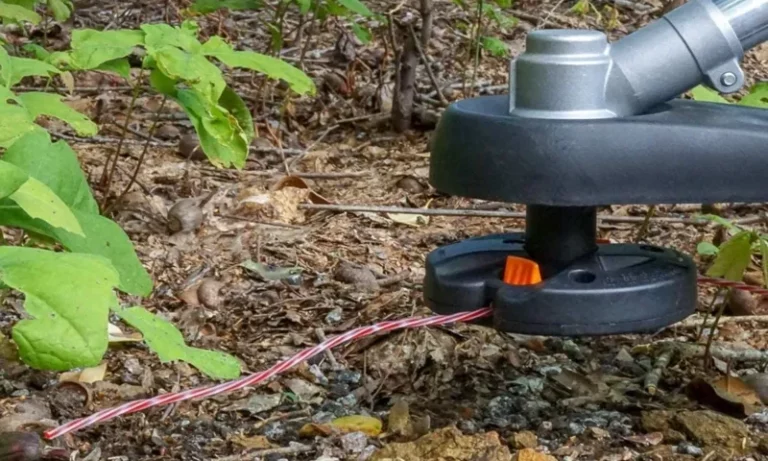 How do you string a weed eater: A step-by-step guide for hassle-free gardening