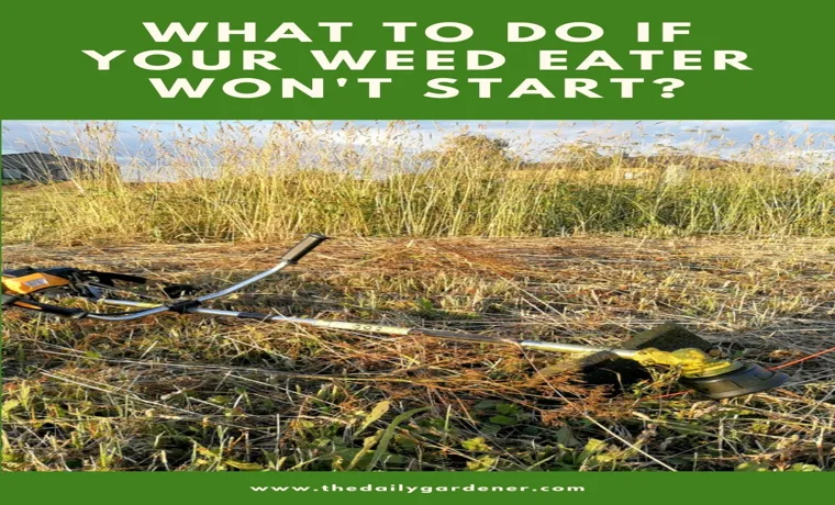 How Do You Start a Flooded Weed Eater: Tips and Tricks for a Smooth Start