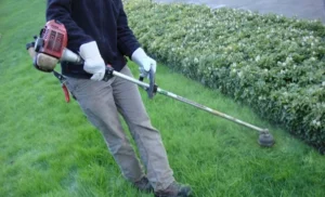 How Does a Self-Feeding Weed Eater Work: A Comprehensive Guide to Understanding Its Mechanism