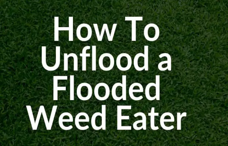 How Long to Wait for a Flooded Weed Eater? Expert Tips and Tricks