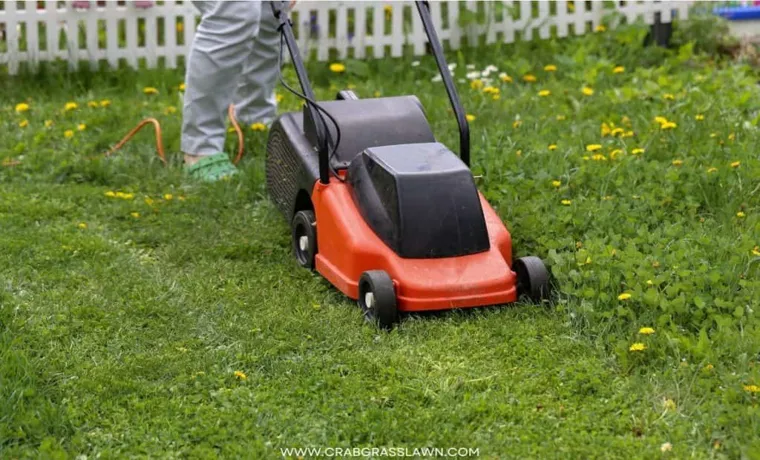 how much does a push lawn mower weigh