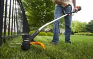 How Much is a Battery Operated Weed Eater? Expert Guide and Price Analysis