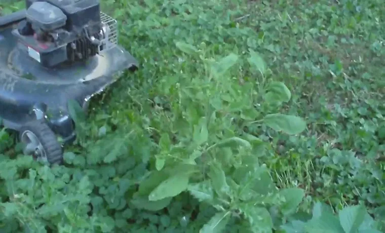 how to build a weed eater