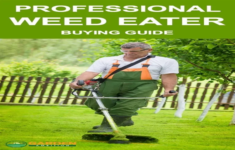 How to Buy a Weed Eater Professional: Tips for Choosing the Best Model