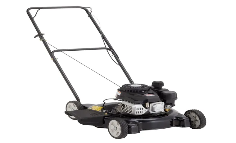 how to buy gas for lawn mower 2