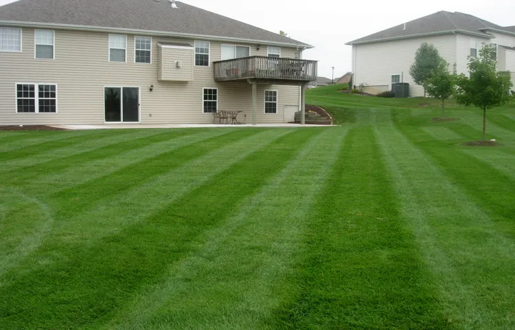 How to Buy Weed Eater Line: Your Ultimate Guide to Selecting the Perfect Trimming Line