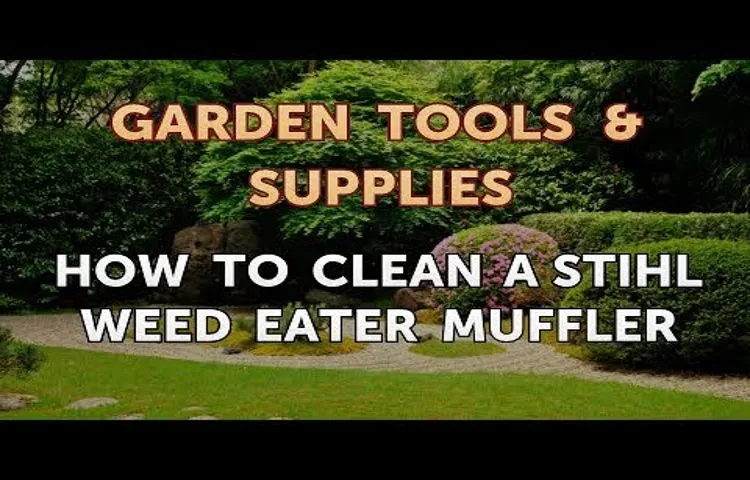 how to clean a stihl weed eater carburetor