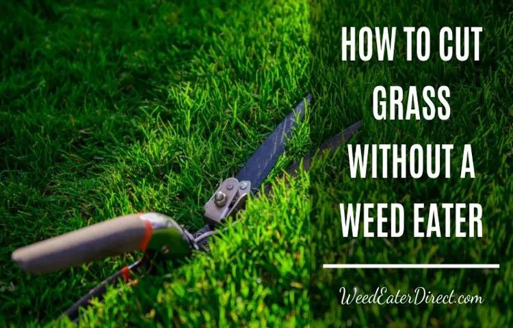 how to cut grass using a weed eater