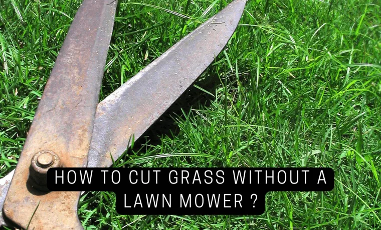 how to cut grass without a lawn mower 2
