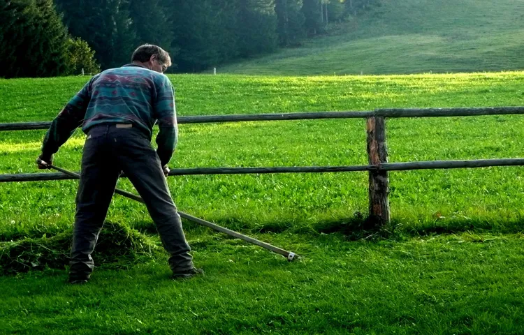 How to Cut Grass Without a Weed Eater – Quick Tips and Tricks