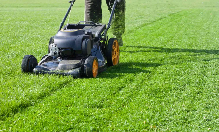how to cut grass without lawn mower 16