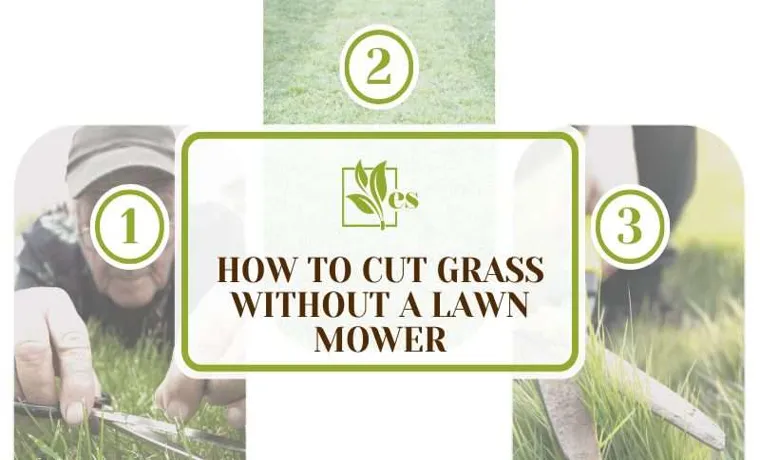how to cut grass without lawn mower