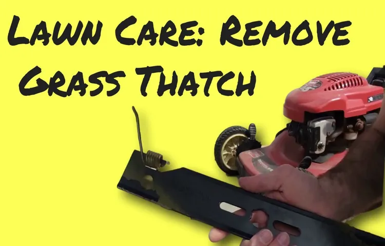 how to dethatch a lawn with mower blade