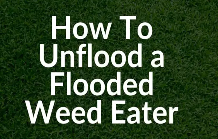 how to fix flooded weed eater