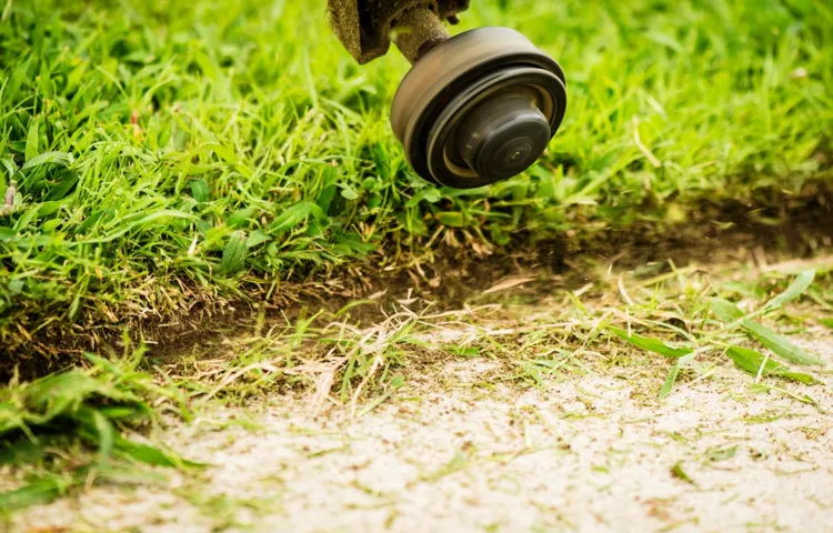 How to Get a Weed Eater to Start: 5 Essential Tips for Easy Startup