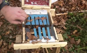 How to Make a Homemade Garden Shredder: DIY Guide and Tips