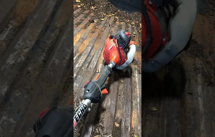 How to Open Echo Weed Eater Head: Step-by-Step Guide for Easy Maintenance