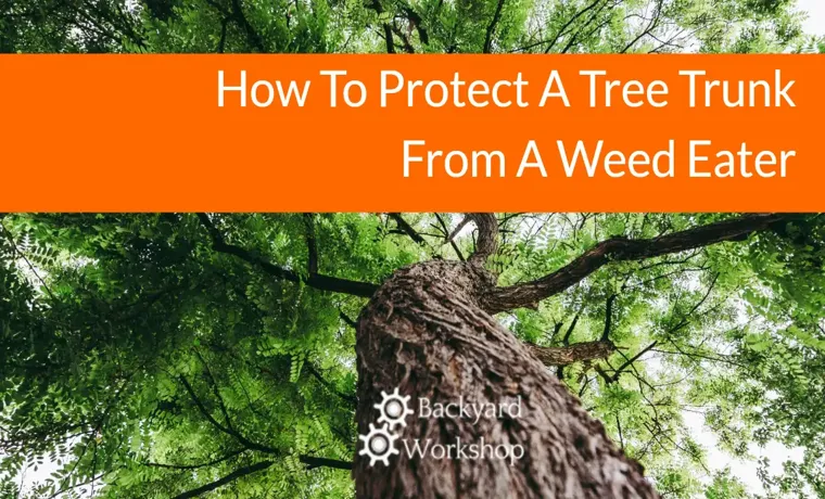 How to Protect Tree from Weed Eater: 5 Essential Tips to Safeguard Your Trees