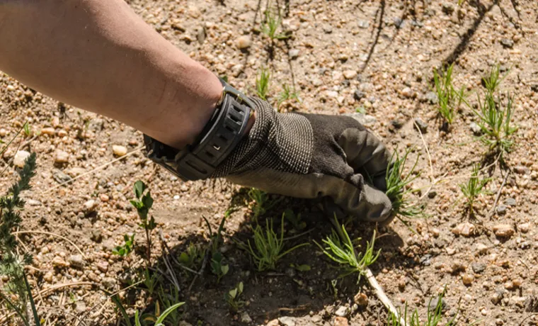 How to Pull String Out of Weed Eater: A Step-By-Step Guide