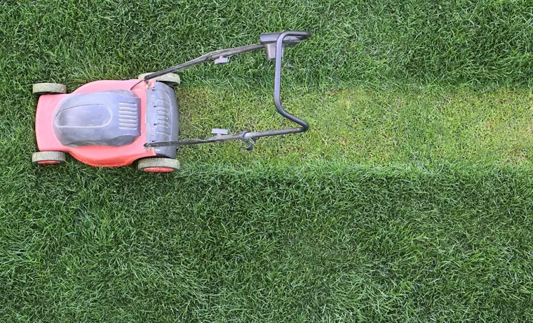 how to syphon gas from lawn mower