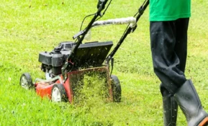 How to Use a Lawn Mower Without a Bag: Beginner’s Guide