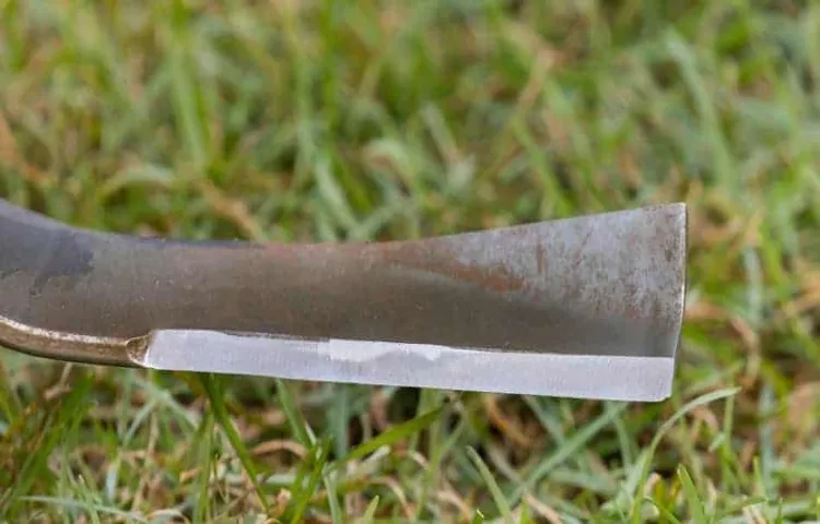 Lawn Mower Blade Which Side Up – The Essential Guide