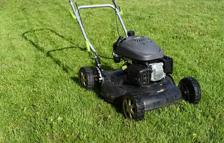 what allowed honda to successfully enter the u.s. lawn mower market despite local competition 2