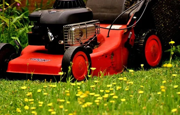 what do i mix with gas for lawn mower