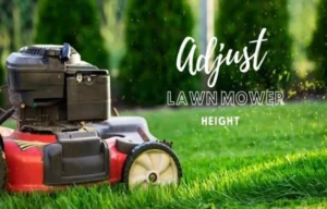 What Height to Set Lawn Mower: A Complete Guide for Perfect Grass Cutting