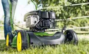 What is a Mulching Lawn Mower? Learn How this Essential Tool can Transform Your Yard