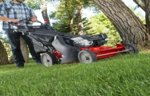 Where to Store Gasoline for Lawn Mower: Expert Tips and Safety Guidelines