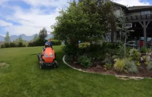 Why Is My Lawn Mower Losing Power? Top Reasons & Quick Fixes