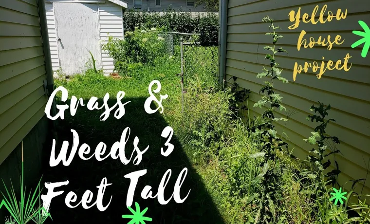 can string trimmer cut weeds