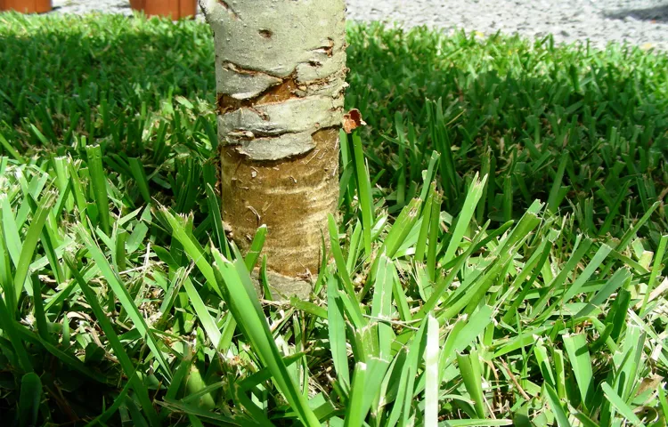 can using a weed trimmer cause wrist damage