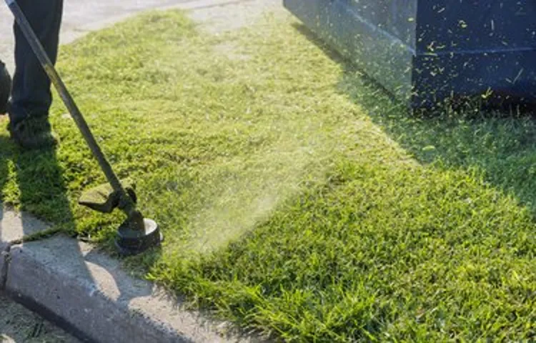 can you use a string trimmer while weeds are wet