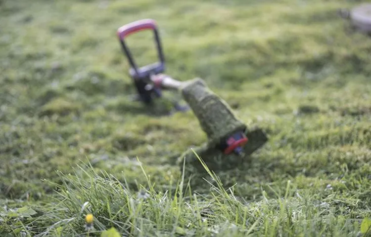 Do Those Weed Trimmer Heads Really Work? No String Trimmer Heads Explained