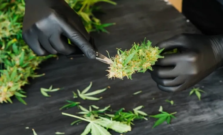 how to become a weed trimmer
