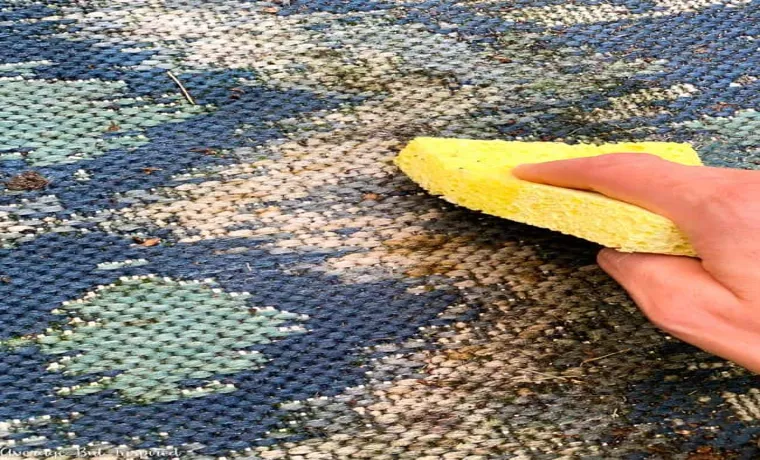 how to clean outdoor rug without pressure washer