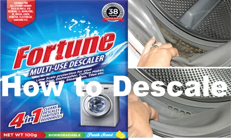 how to descale a pressure washer